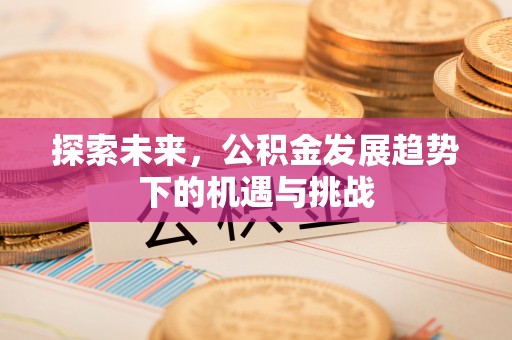 张家川探索未来，公积金发展趋势下的机遇与挑战