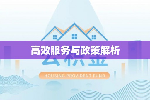 张家川高效服务与政策解析