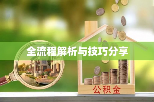 张家川全流程解析与技巧分享